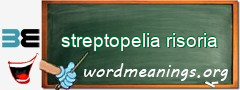 WordMeaning blackboard for streptopelia risoria